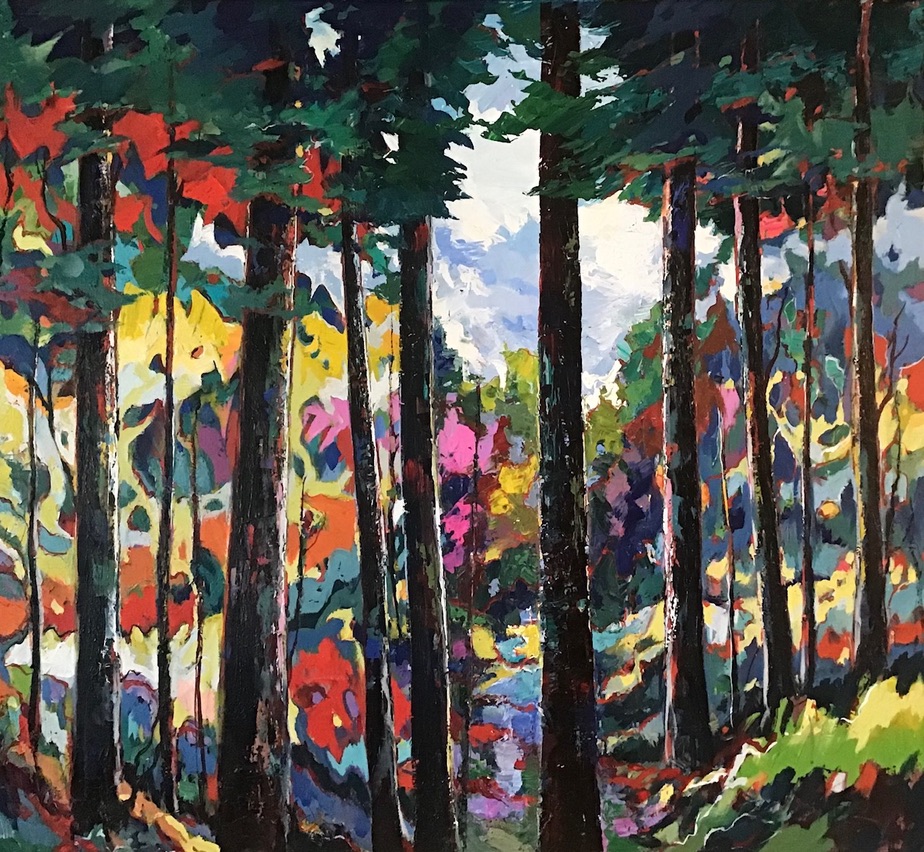 Image accompanying Rainforest of Canada
