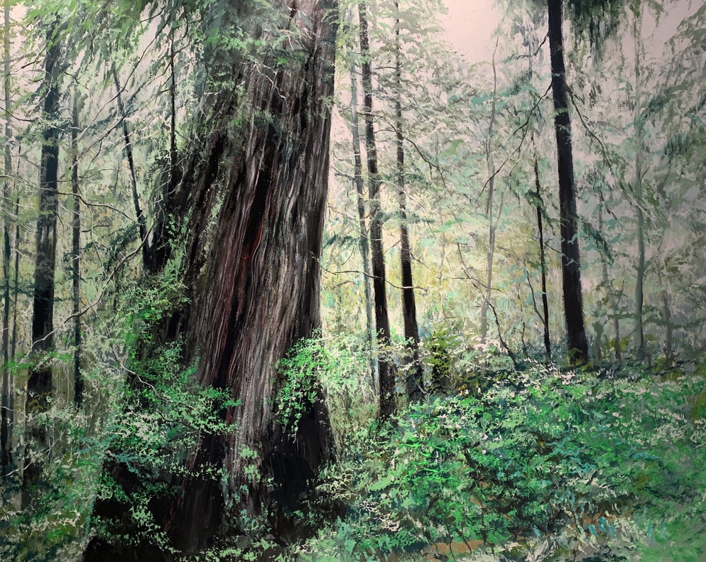 Image accompanying Rainforest of Canada